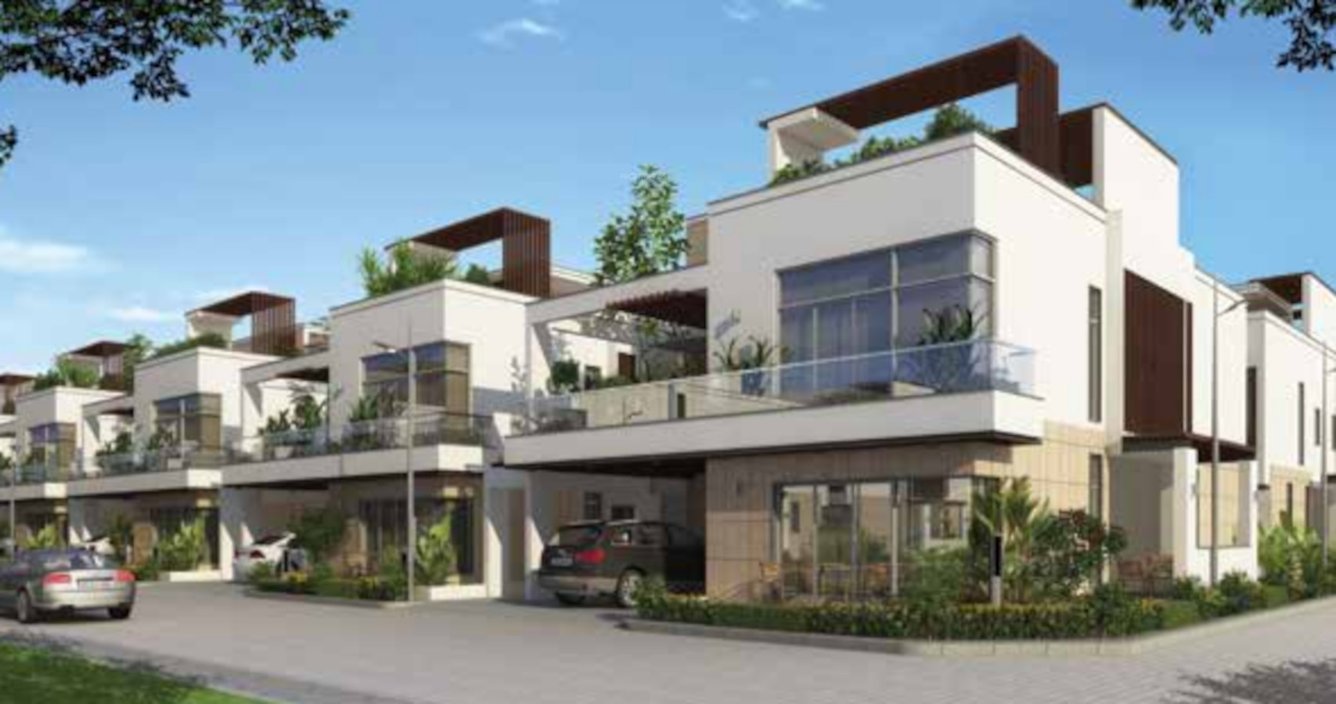  flowerdale Elevation