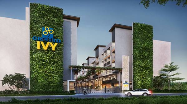  ivy-2 Gated Community