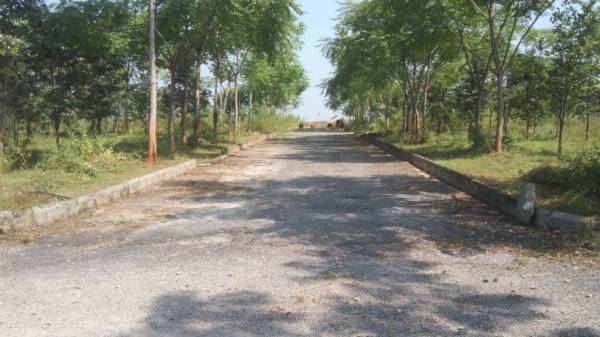  crimson-park Internal Roads