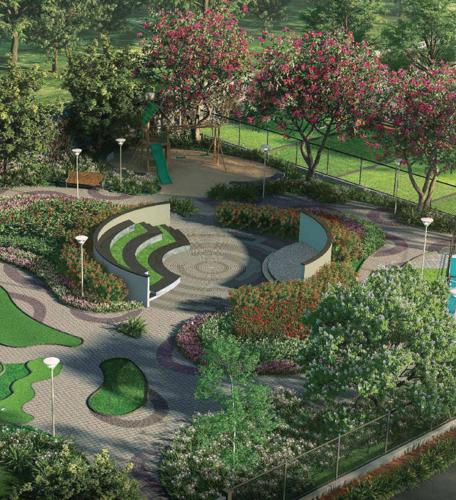  purva-hibiscus Landscape Garden and Tree Planting