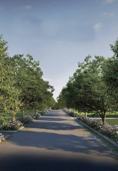  purva-hibiscus Others