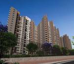 Elevation  lakeside-paradise Elevation