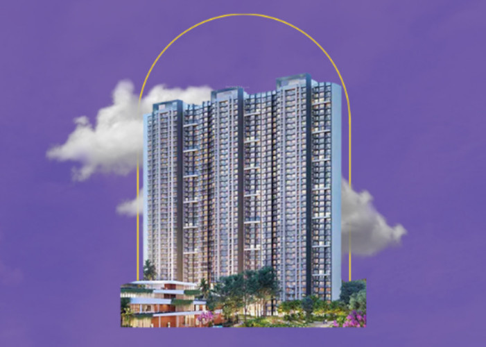 codename desire Elevation