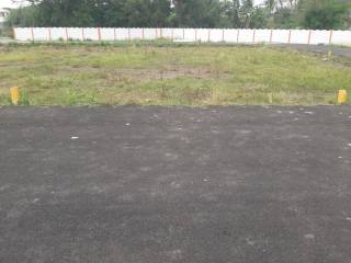 Project Image Project Image