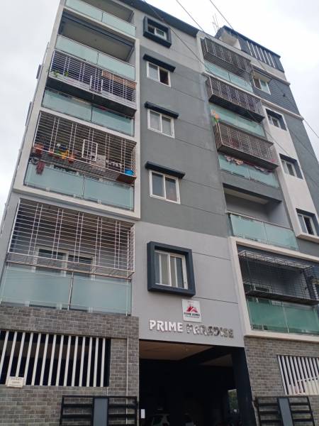 Elevation paradise Elevation