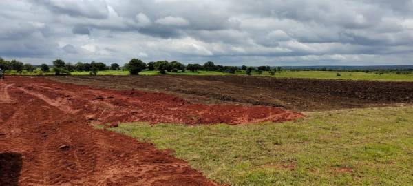  saketh-farm-lands Plot
