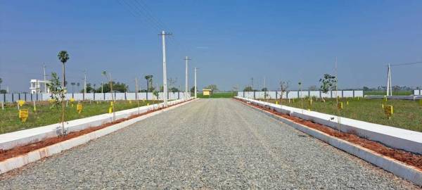  green-delight-pearl Elevation