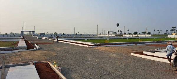  green-delight-pearl Plot