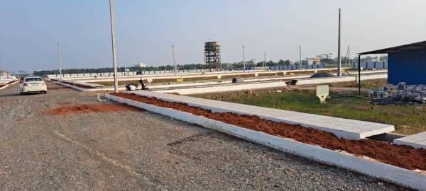  green-delight-pearl Plot