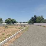 Elevation  sree-kamatchi-amman-nagar Elevation