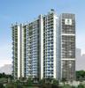 Woods Platina Wing D Oak Tower