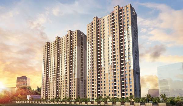 Elevation exuberance-ii Elevation