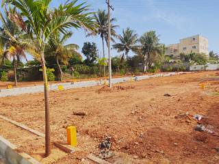 Project Image Project Image