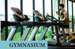 Gymnasium  elinor Gymnasium