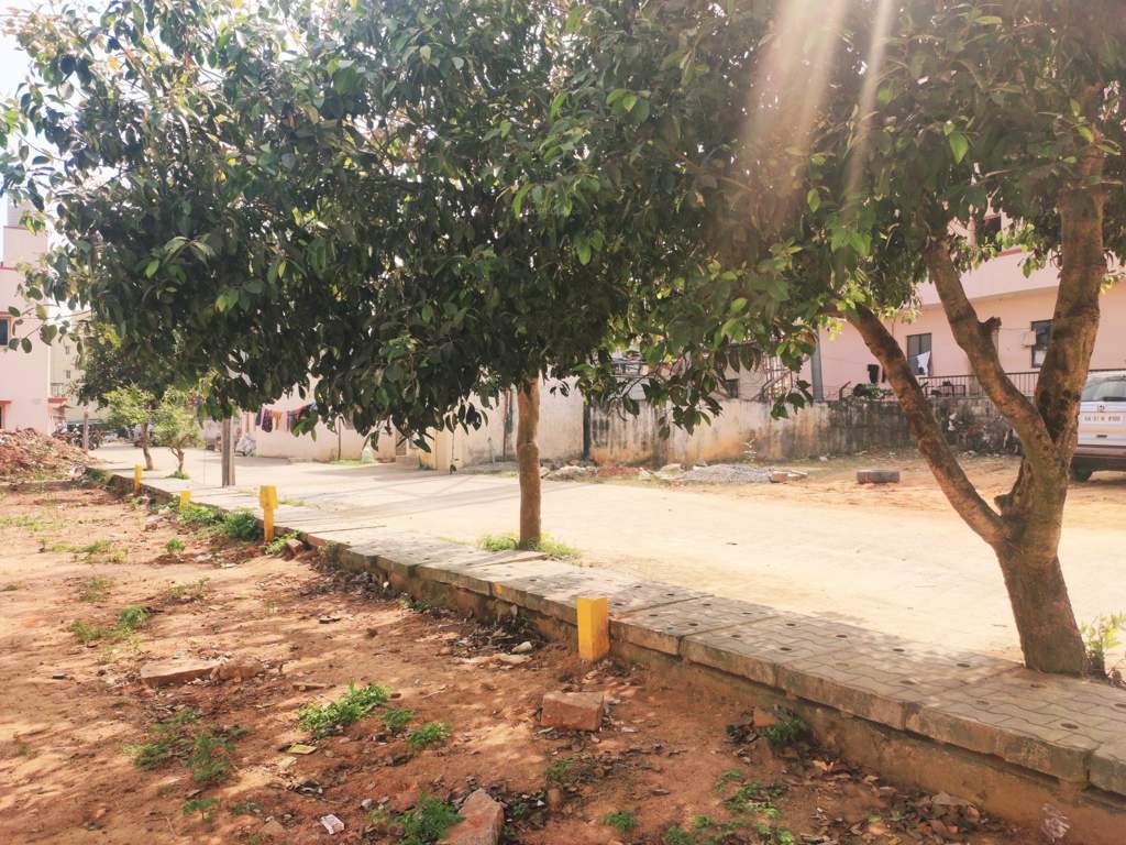  city breeze habitota Others