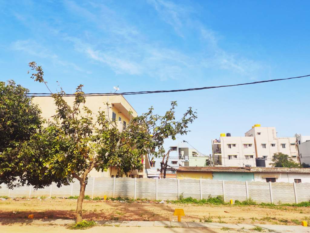  city breeze habitota Plot