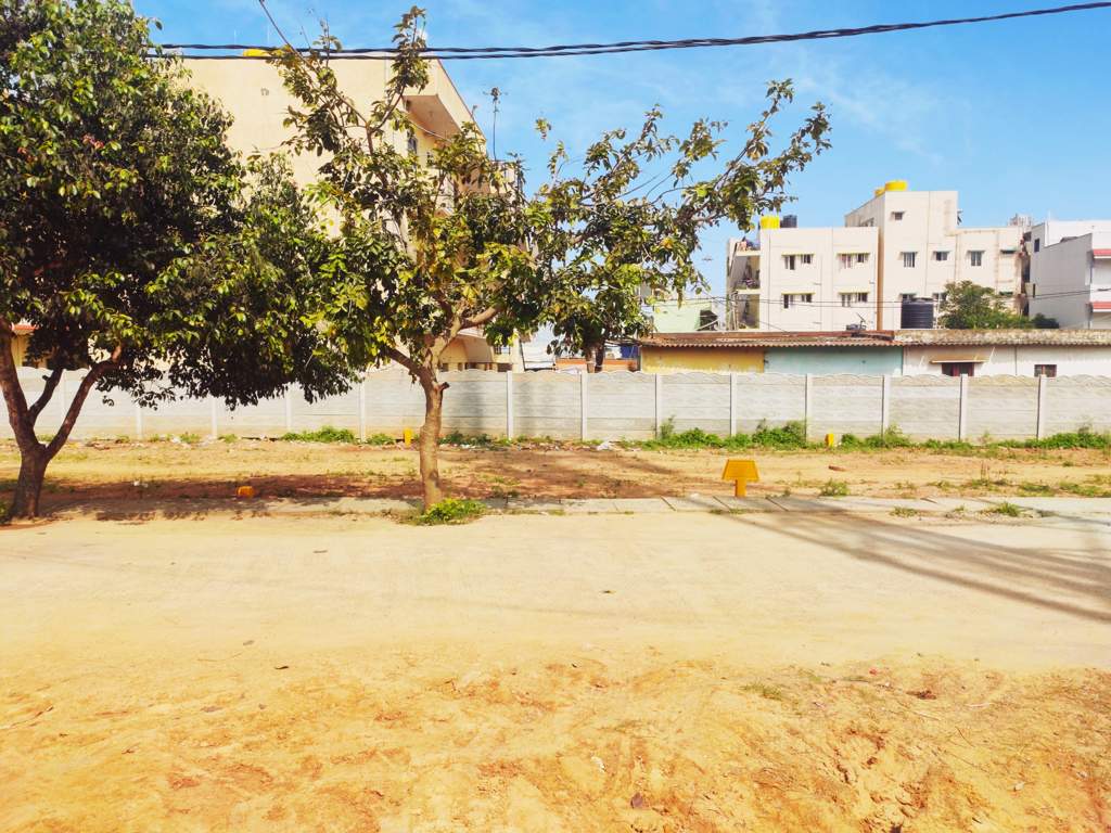  city breeze habitota Plot