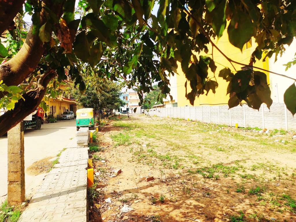  city breeze habitota Plot