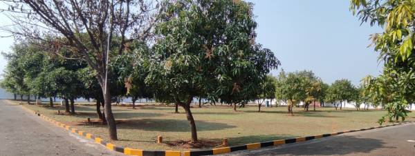 Plot lorudhu-nagar Plot