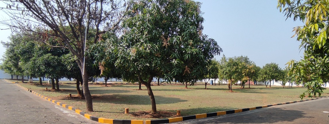  lorudhu nagar Plot