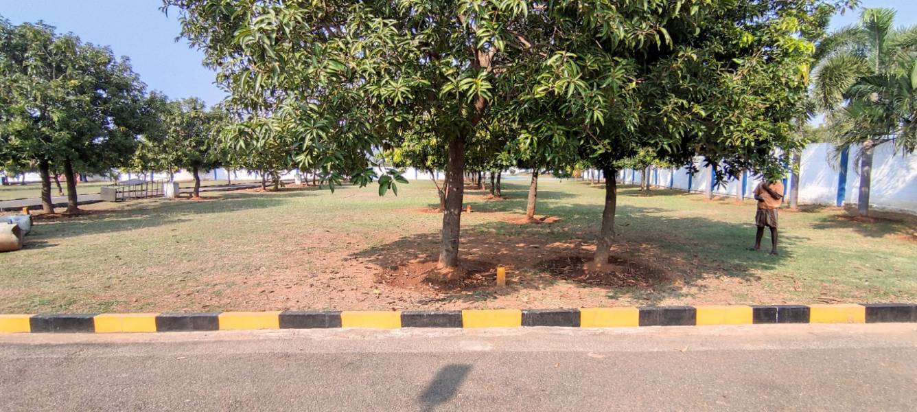  lorudhu nagar Plot