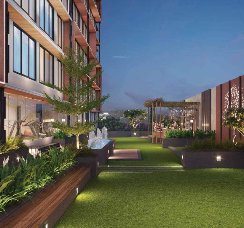  synergy Landscape Garden and Tree Planting