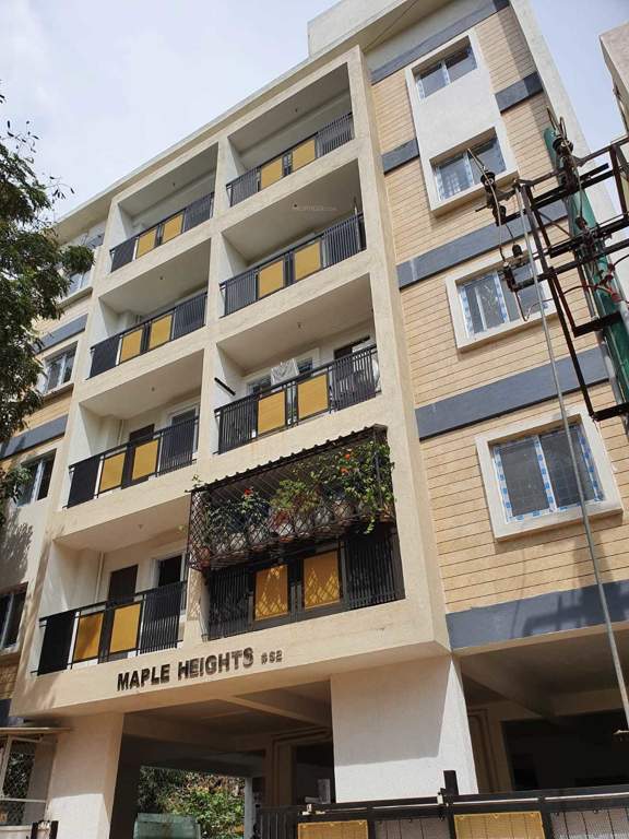  maple heights Elevation