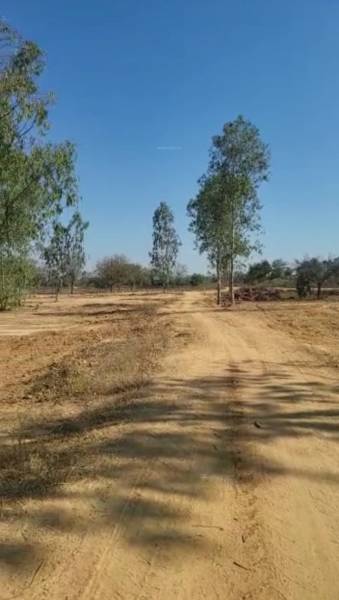  lake-view Internal Roads