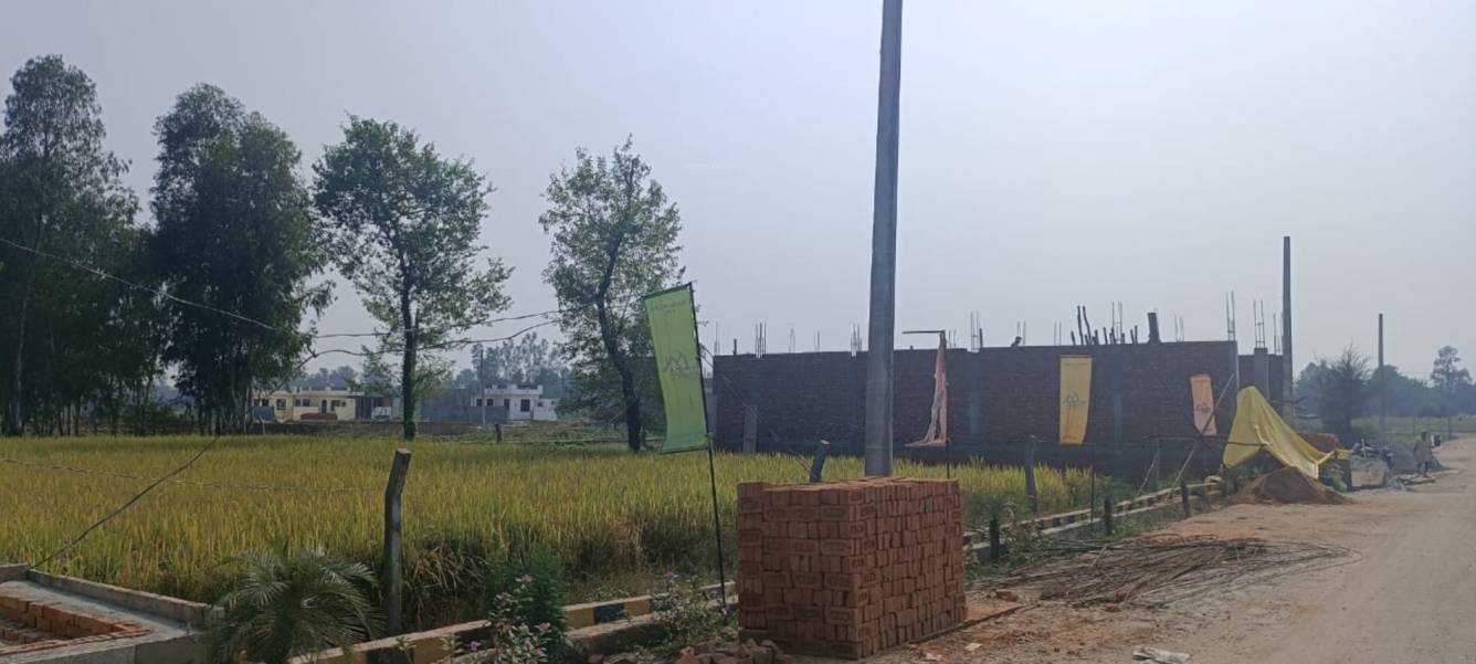  dream green city phase 3 Plot