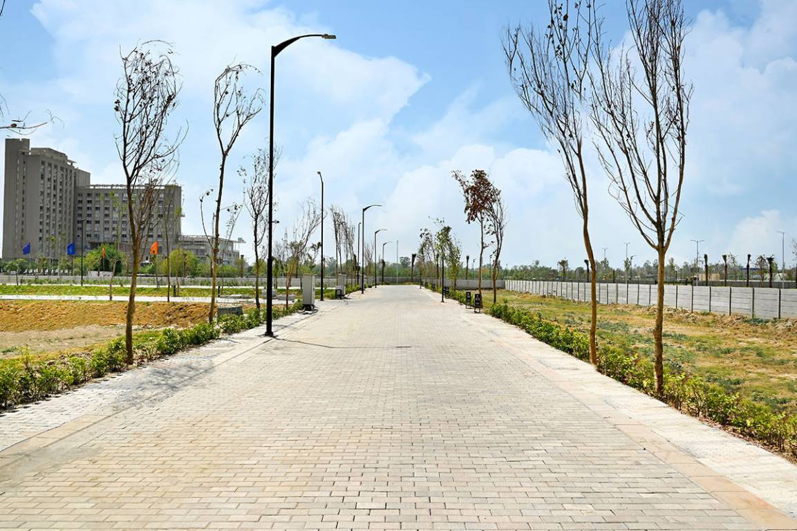  district 6 block l Internal Roads & Footpaths