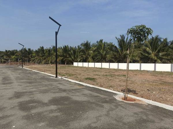 Plot adithi-enclave Plot