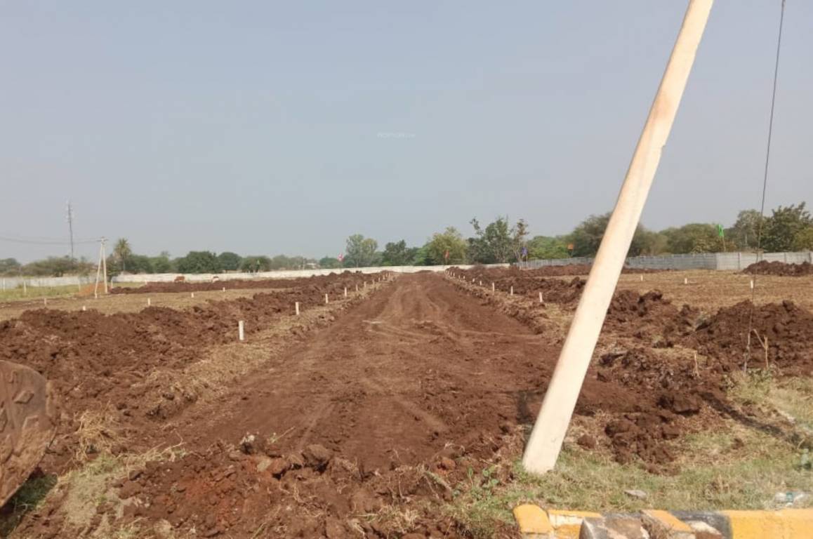  highway green orchids Plot