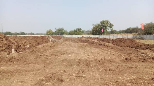  highway-green-orchids Plot