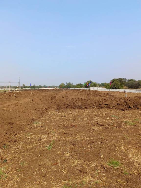  highway green orchids Plot