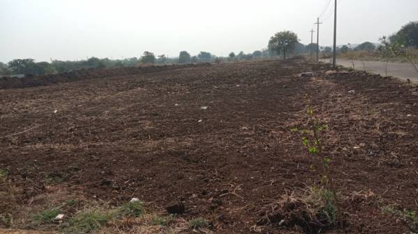  highway-green-orchids Plot