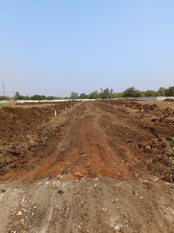  highway green orchids Plot