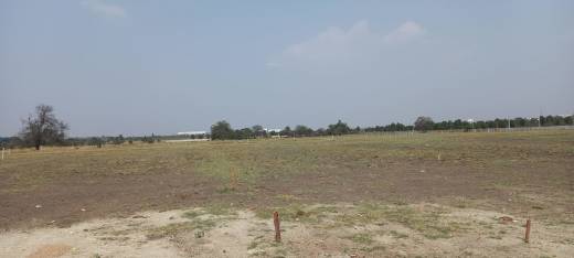 kingston-meadows Elevation Elevation