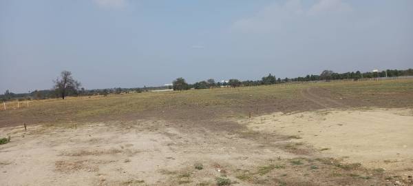  kingston-meadows Plot