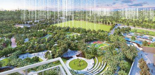  hill-retreat-2 Landscape Garden and Tree Planting