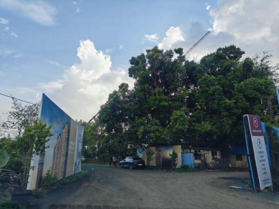 nextown jasper Nextown Jasper Construction Status Nov 24