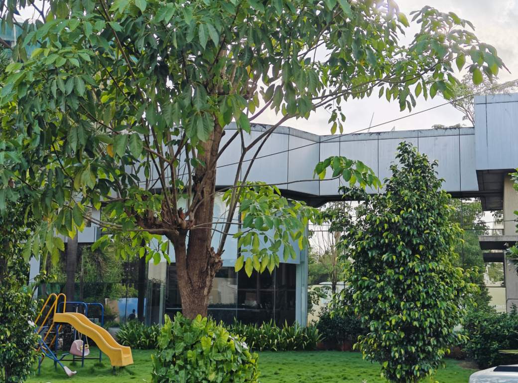 nextown jasper Children's play area