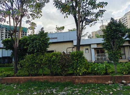  nextown-jasper Landscape Garden and Tree Planting