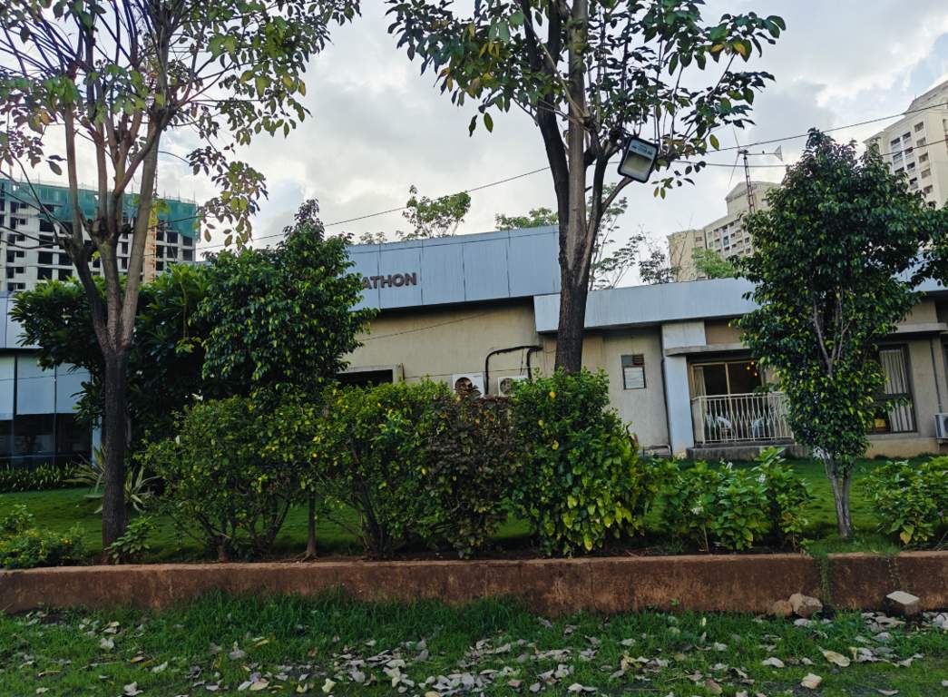 nextown jasper Landscape Garden and Tree Planting