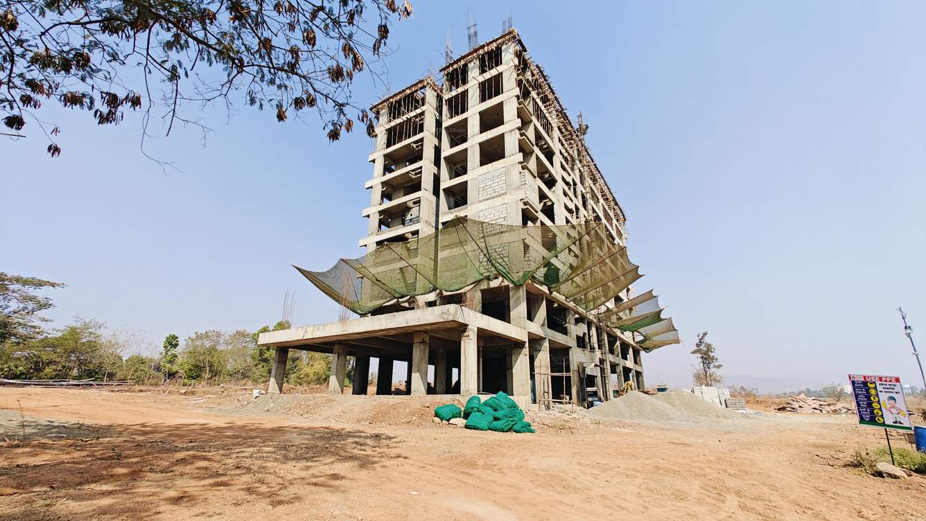  cradle of life Construction Status March 25