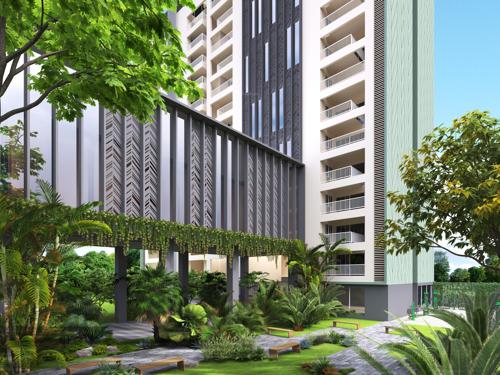  cradle-of-life Others