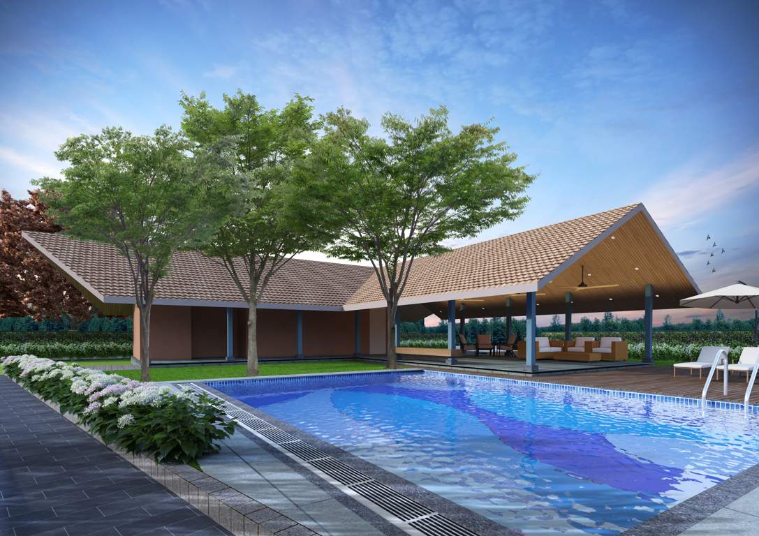  cradle of life Swimming Pool