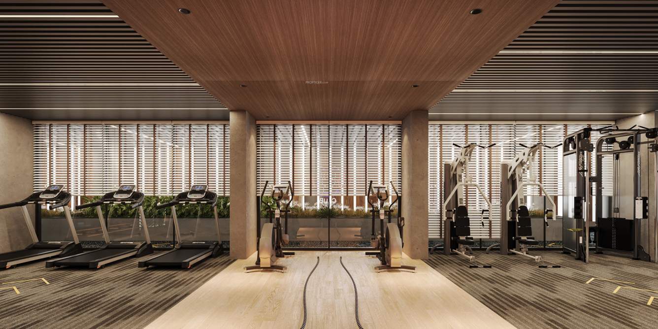  vraj central vista Gymnasium