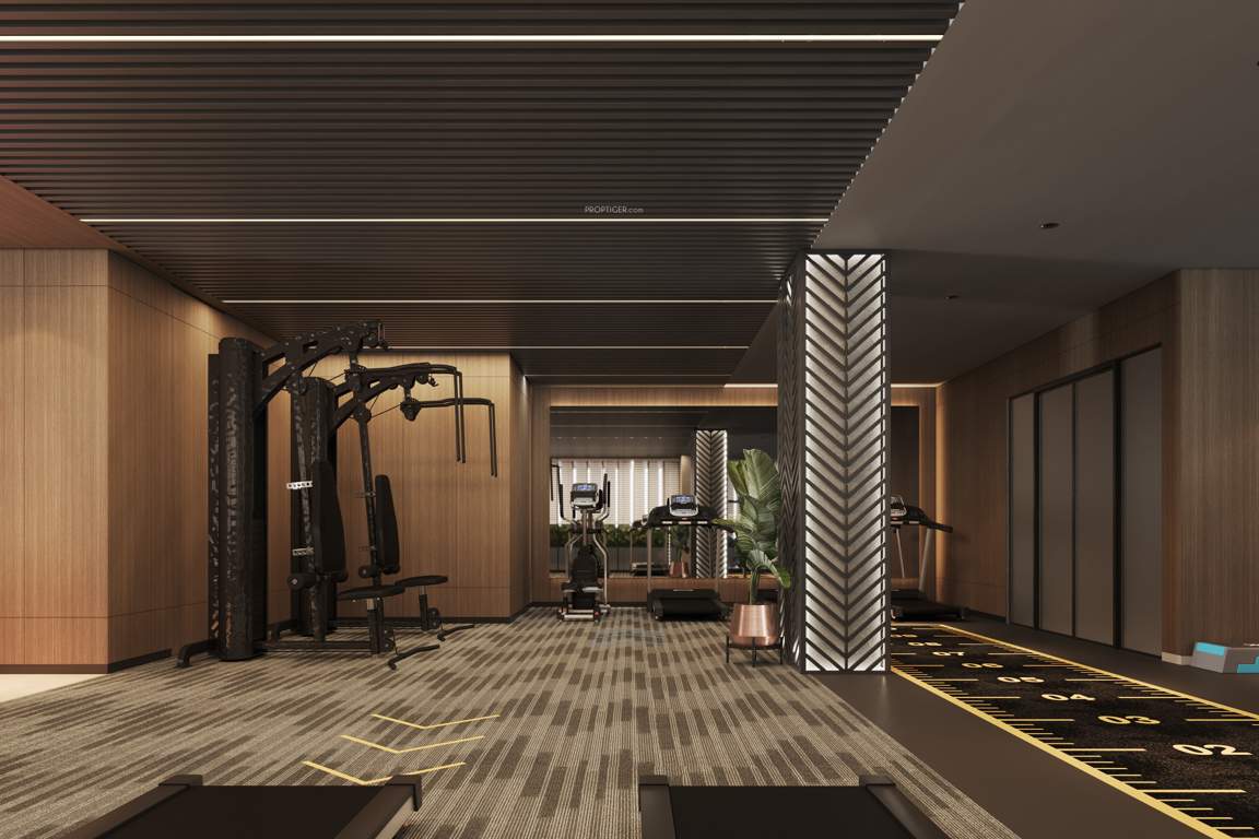  vraj central vista Gymnasium