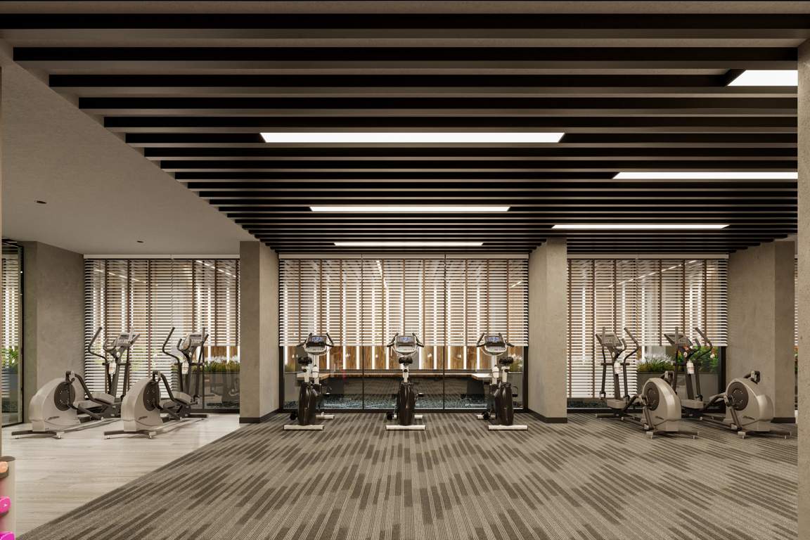  vraj central vista Gymnasium