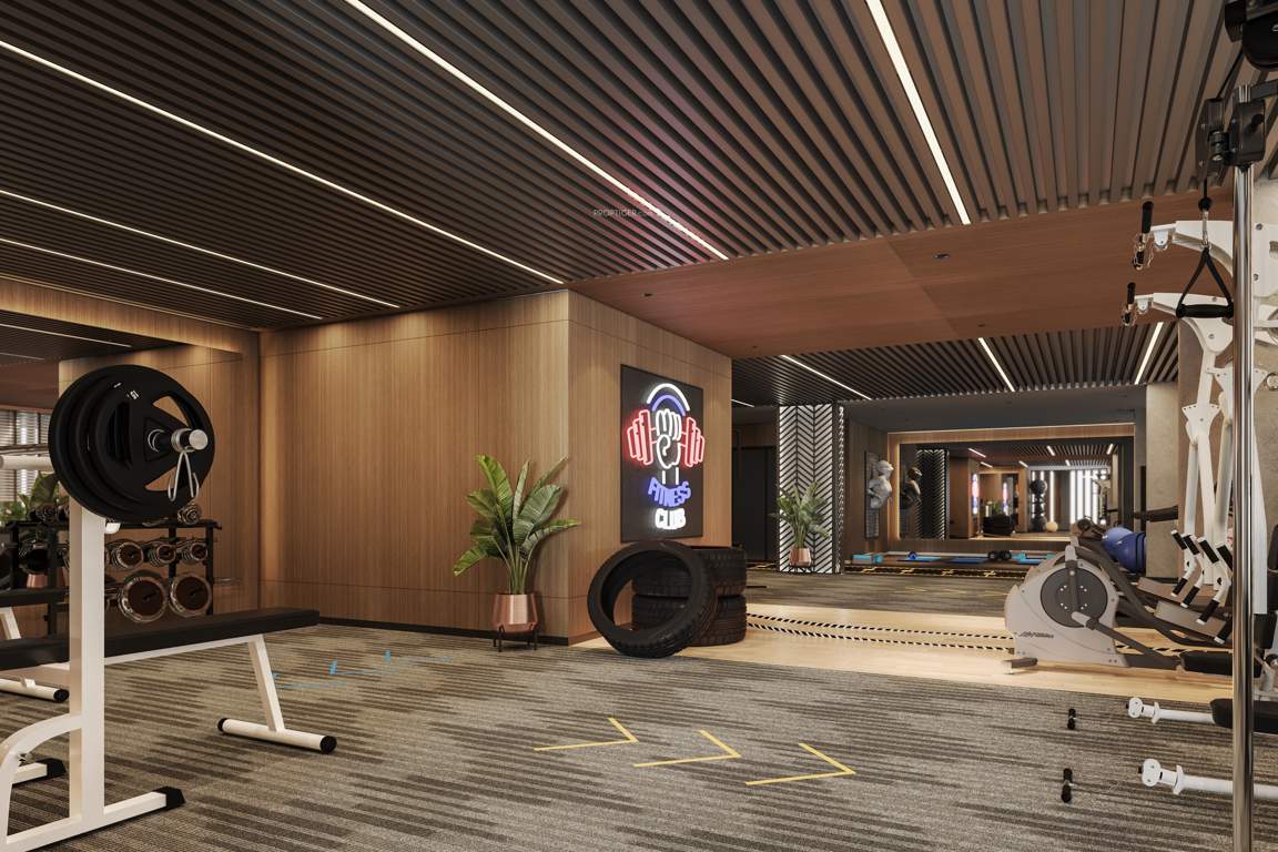  vraj central vista Gymnasium